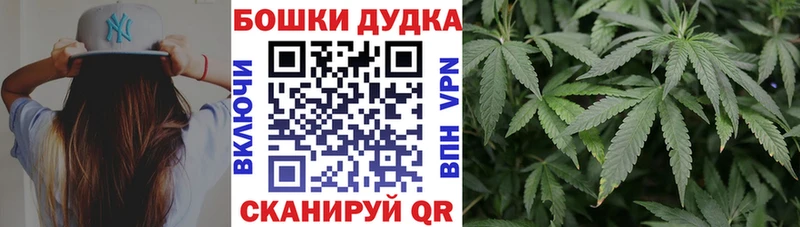 купить наркотик  kraken вход  Бошки марихуана план  Озёрск 
